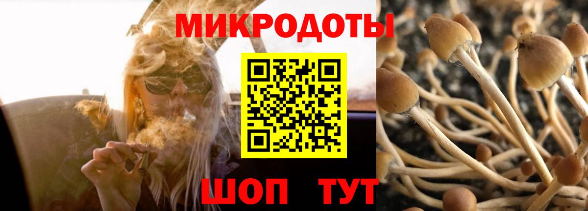 Батайск  Галлюциногенные грибы Cubensis  Вход с VPN 